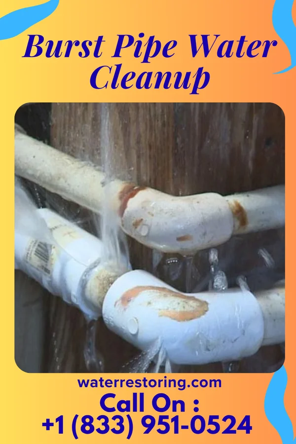 Burst Pipe Water Cleanup in Marble Hill, MO