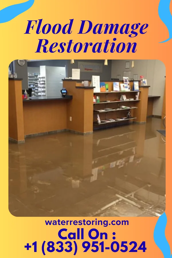 Flood Damage Restoration in Marble Hill, MO